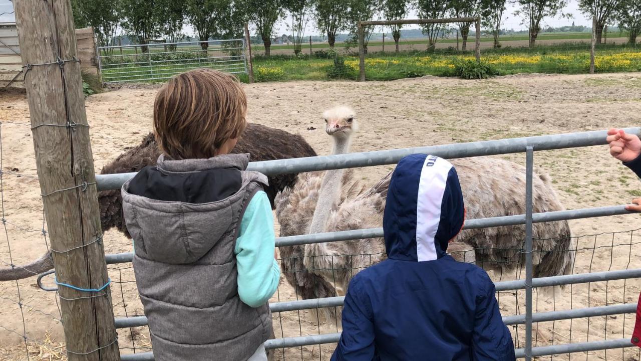 Slapen Bij De Zeeuwse Lala Bed and Breakfast IJzendijke Eksteriør billede